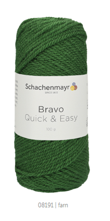 Schachenmayr |  Bravo Quick and Easy 100 gr